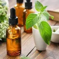 Premium Export Quality Spearmint Oil