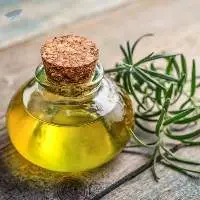 Rosemary Oil (Rosmarinus Officinalis)