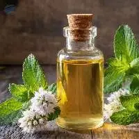 Premium Export Quality Peppermint Oil