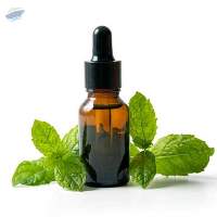 Premium Export Grade quality Mint Oil