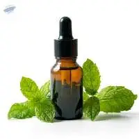 Premium Export Grade quality Mint Oil