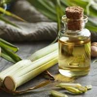 Premium Export Grade Quality Lemongrass Oil