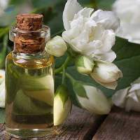 Premium Export Grade Quality Jasmine Oil