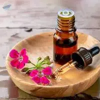 Premium Export Grade Quality Geranium Oil