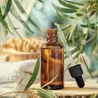 Premium Export Grade  Eucalyptus Oil