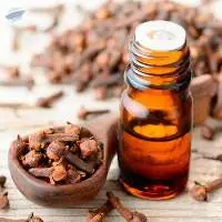 Premium Quality Export Grade Clove Oil