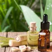 Premium Quality Export Grade Citronella Oil