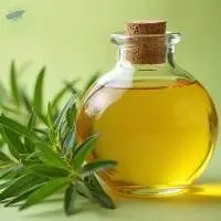 Premium Quality Export Grade Cajuput Oil