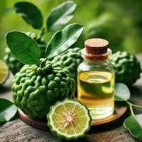 Premium Quality Export Grade Bergamot Oil
