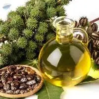 Castor Oil FSG (First Special Grade)