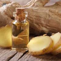 Zingiber Officinale (Ginger) Root Oil