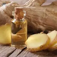 Zingiber Officinale (Ginger) Root Oil