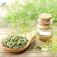 High Quality Export Grade Fennel Seed Oil