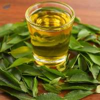 High Quality Export Grade Curry Leaf Oil