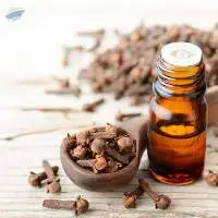 High Quality Export Grade Clove Oil