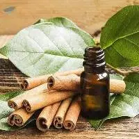 High Quality Export Grade Cinnamon Leaf Oil