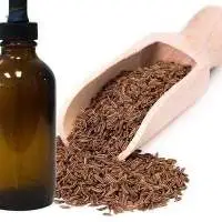 High Quality Export Grade Caraway Spice Oil