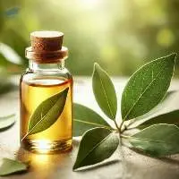 High Quality Export Grade Bay Leaf Oil