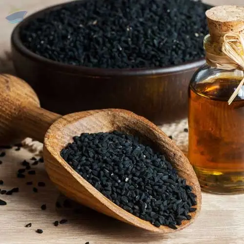 High Quality Export Grade Black Cumin Seed Oil