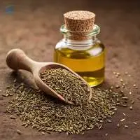 High Quality Export Grade Ajwain Seed Oil