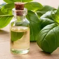 Premium High Quality Linalool Ex Basil