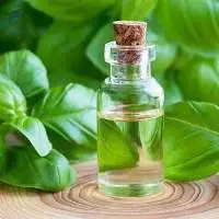 Premium High Quality Export Methyl Chavicol