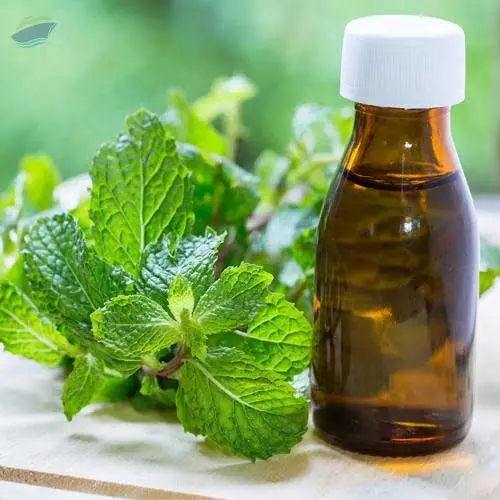 Premium High Quality Mentha Piperita Oil