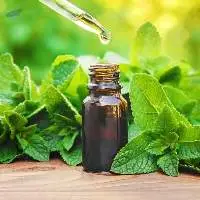 Premium High Quality Peppermint Oil