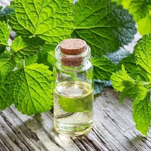 Premium High Export Quality Neo Menthol