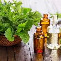Export Grade High Quality Iso Menthol