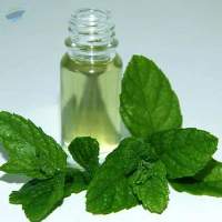 Export Grade High Quality Crude Mentha Oil