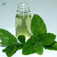 Export Grade High Quality Crude Mentha Oil