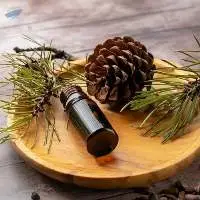 Export Grade Quality Pine Oil (All Grades)