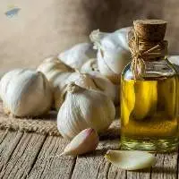 Export Grade Quality Garlic Oleoresin