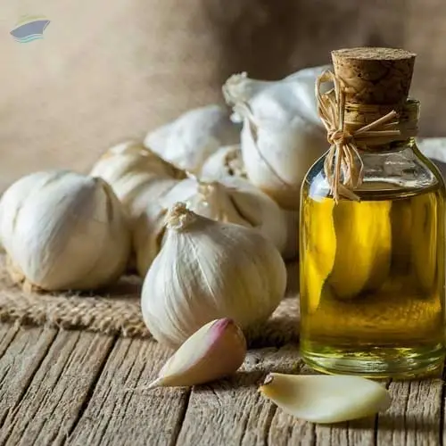 Export Grade Quality Garlic Oleoresin
