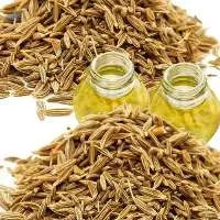 Export Grade Quality Cumin Seed Oleoresin