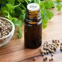 Export Grade Quality Coriander Oleoresin