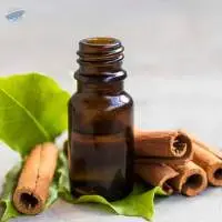Export Grade Quality Cinnamon Oleoresin