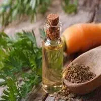 Export Grade Quality Celery Seeds Oleoresin