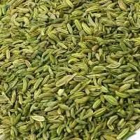 Egyptian Dried Fennel Seeds 99% Purity