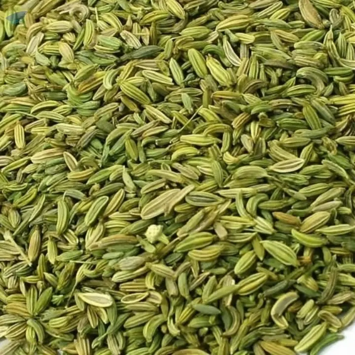 Egyptian Dried Fennel Seeds 99% Purity