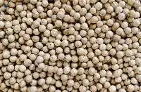 White Pepper