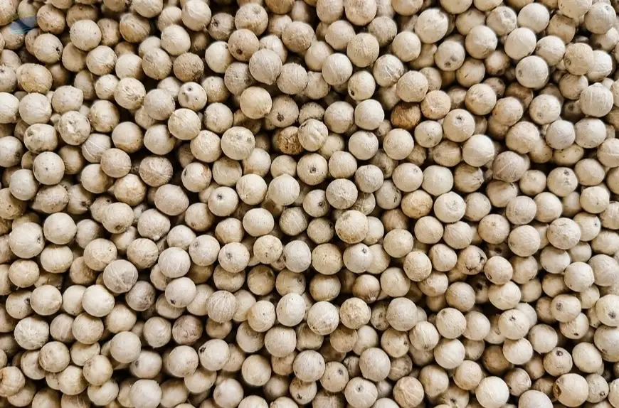 White Pepper