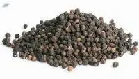 Black Pepper