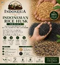 Rice Husk Raw & Carbonized