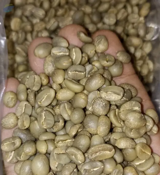 Indonesian Arabica Green Coffee Beans