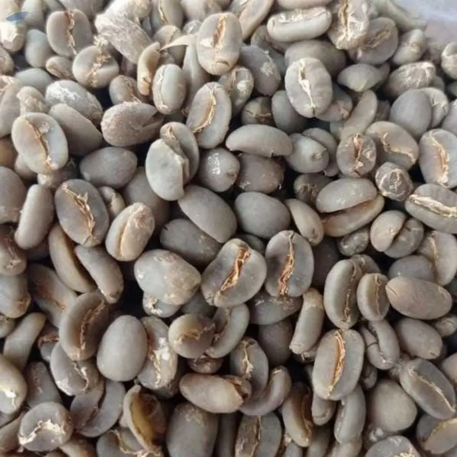 Indonesian Arabica Green Coffee Beans
