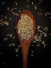 Premium Indian Cumin Seeds Export Quality