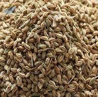 Premium Ajwain Seeds Or Carom Seeds