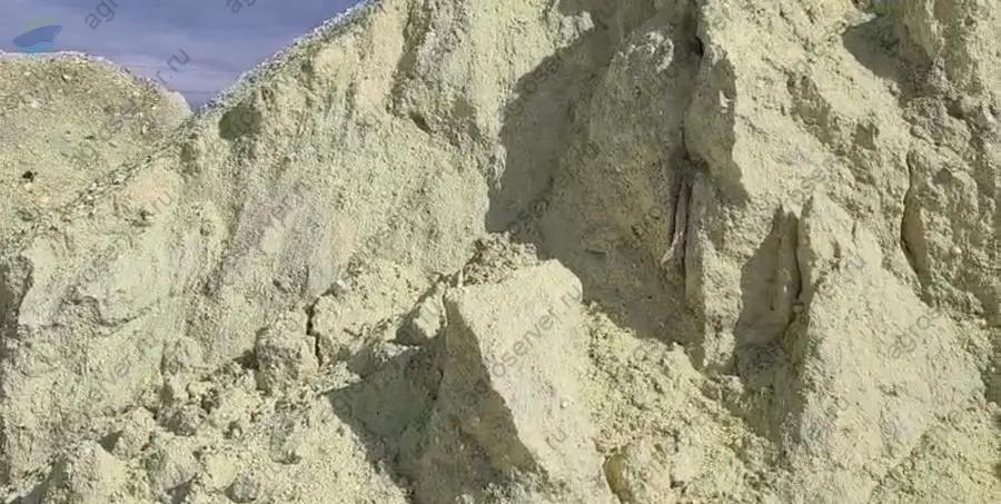 Lumpy Sulphur